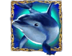 - สัญลักษณ์ ไวด์ ของสล็อต Dolphin is Pearl Deluxe