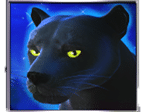 - สัญลักษณ์ ไวด์ เกม Panther Moon