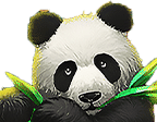 - สัญลักษณ์ แพนด้า ของสล็อต Lucky Panda