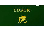- สัญลักษณ์ เสือคู่ ของสล็อต Dragon Tiger