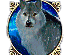 - สัญลักษณ์ สุนัขจิ้งจอก ของสล็อต Arctic Treasure
